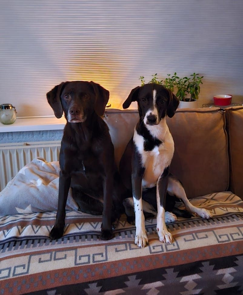 photo - Barbara Kregting