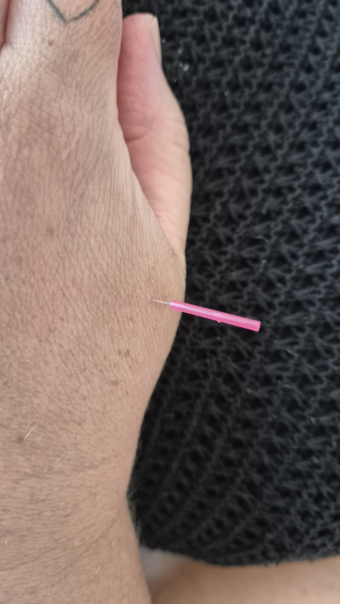 photo - Barbara Kregting