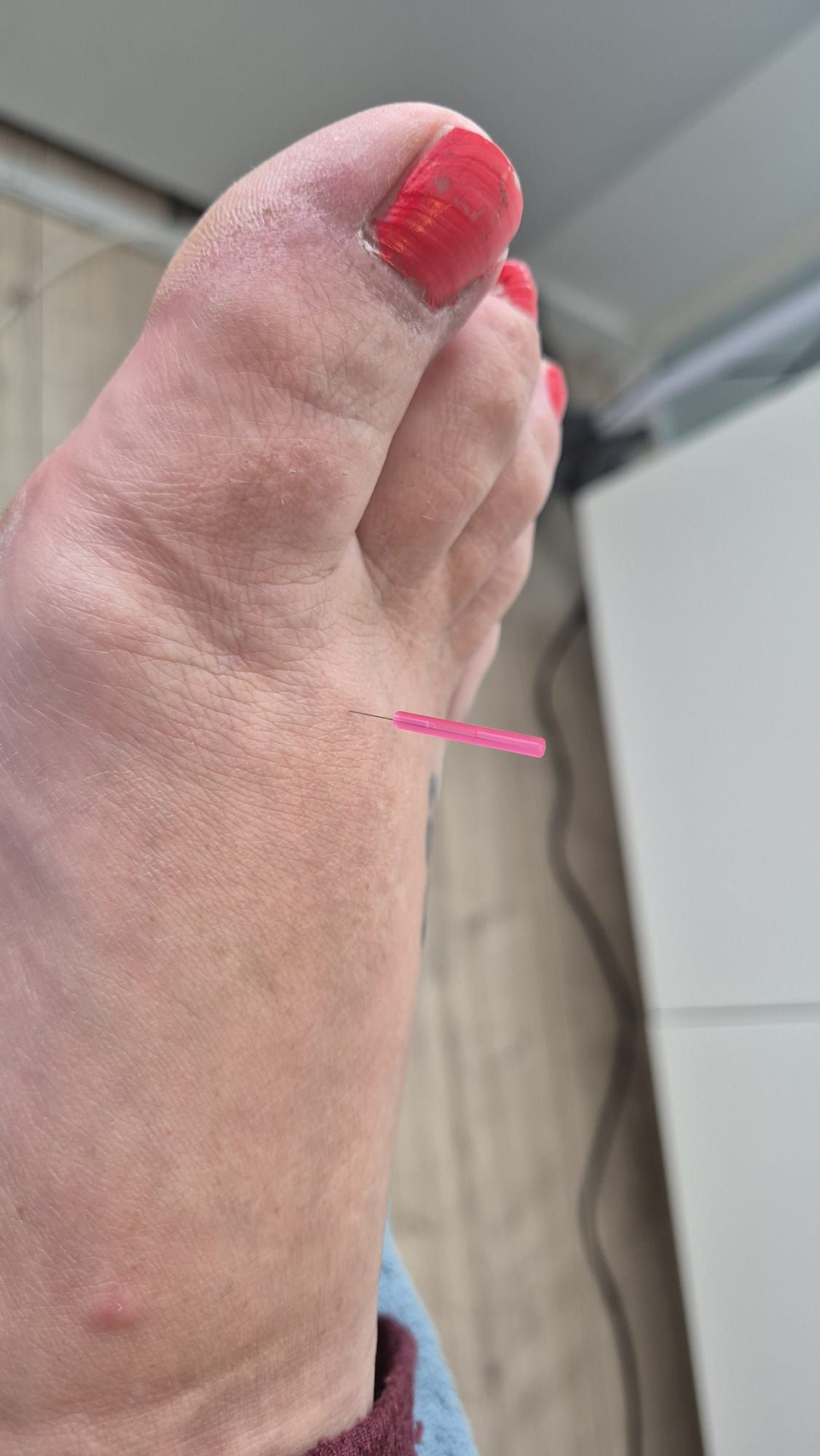 photo - Barbara Kregting