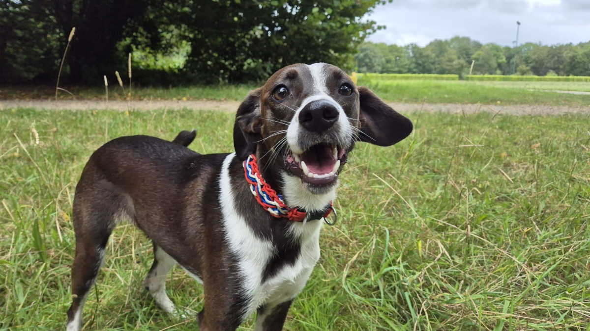 photo - Barbara Kregting